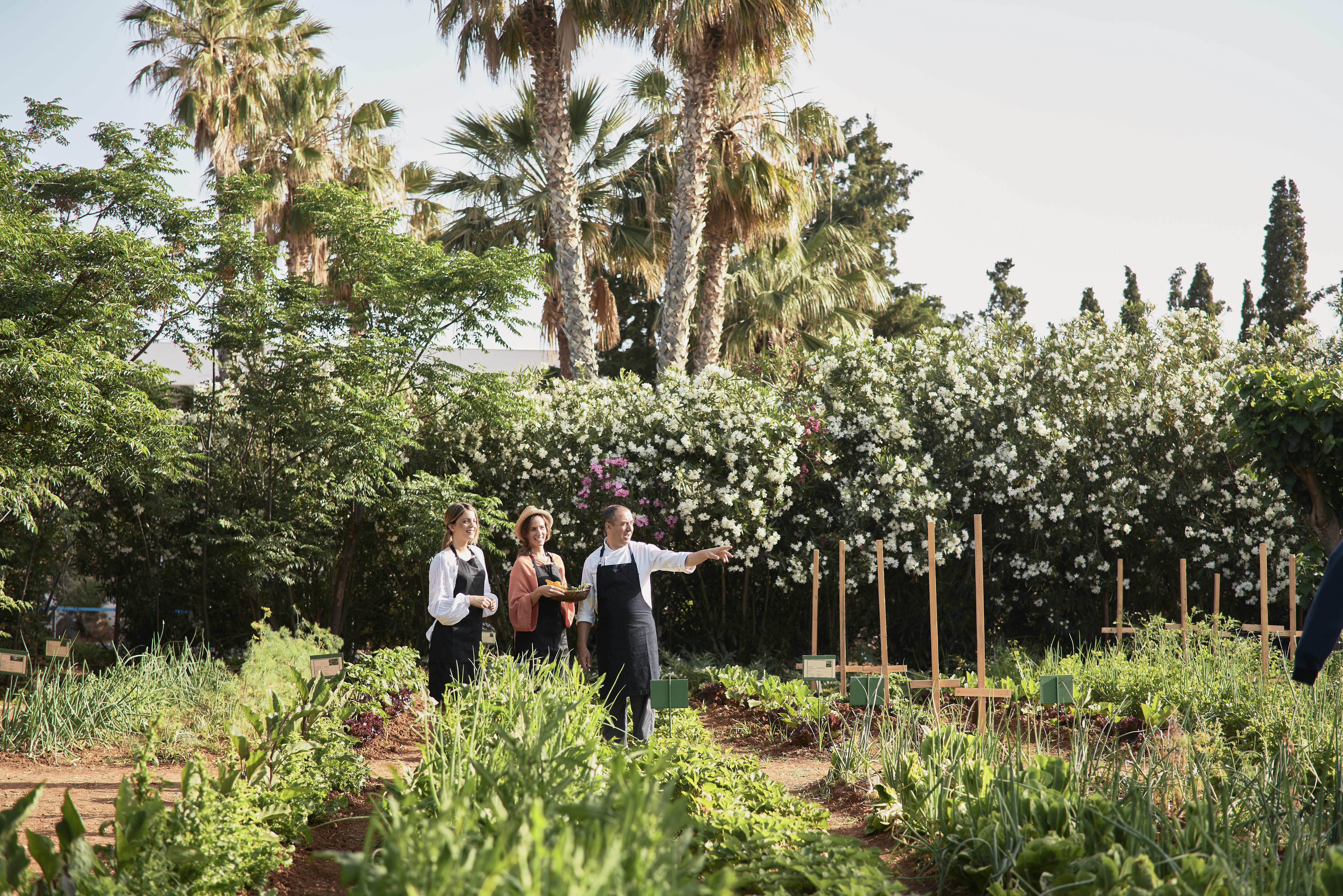 Phaea Cretan Malia, A Member Of Design Hotels Exterior foto